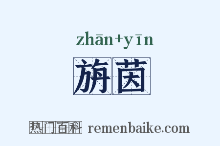 旃茵是什么意思的图片